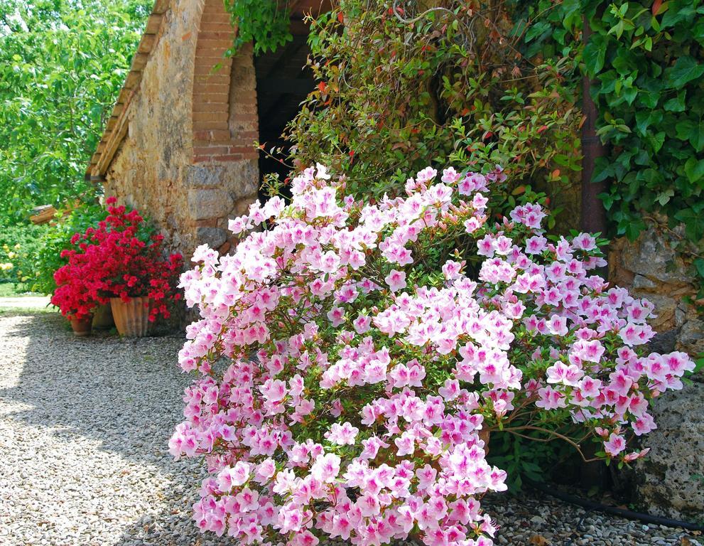 Villa Borgo Dei Fondi à Sienne Extérieur photo